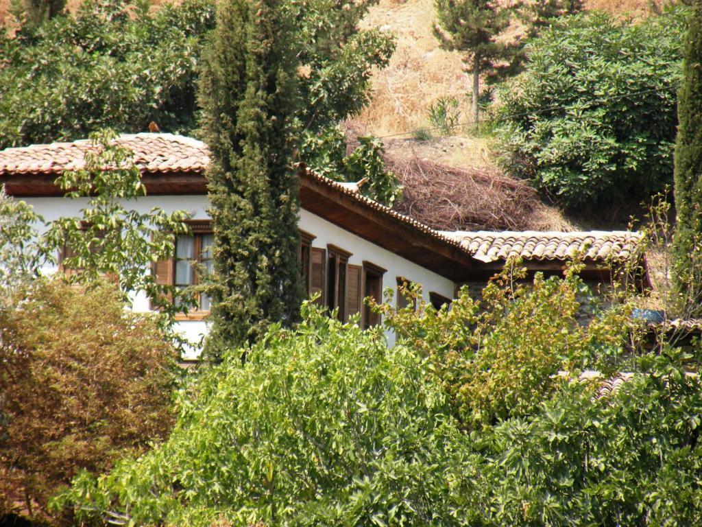 Terrace Houses Sirince Selçuk Zimmer foto
